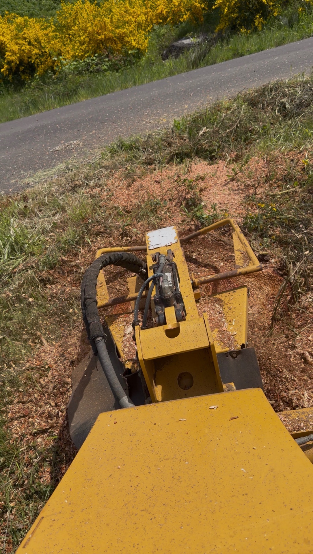 Stump grinder on the job
