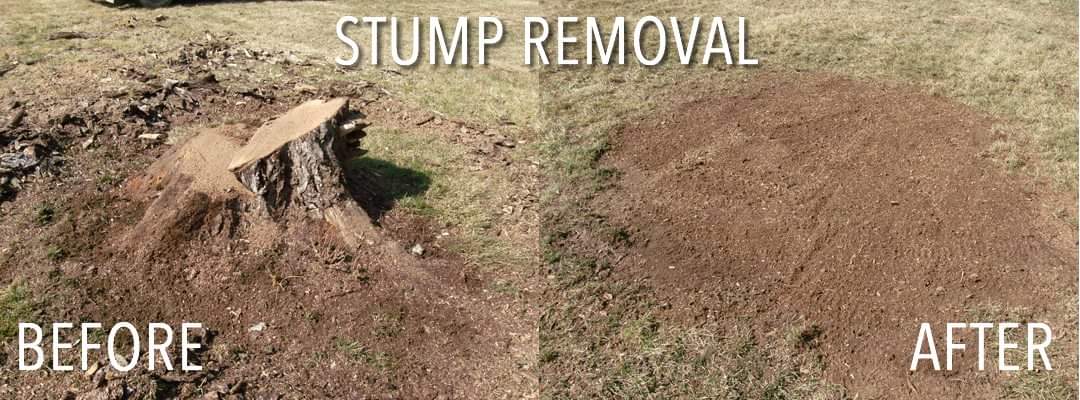 Open lawn stump removal